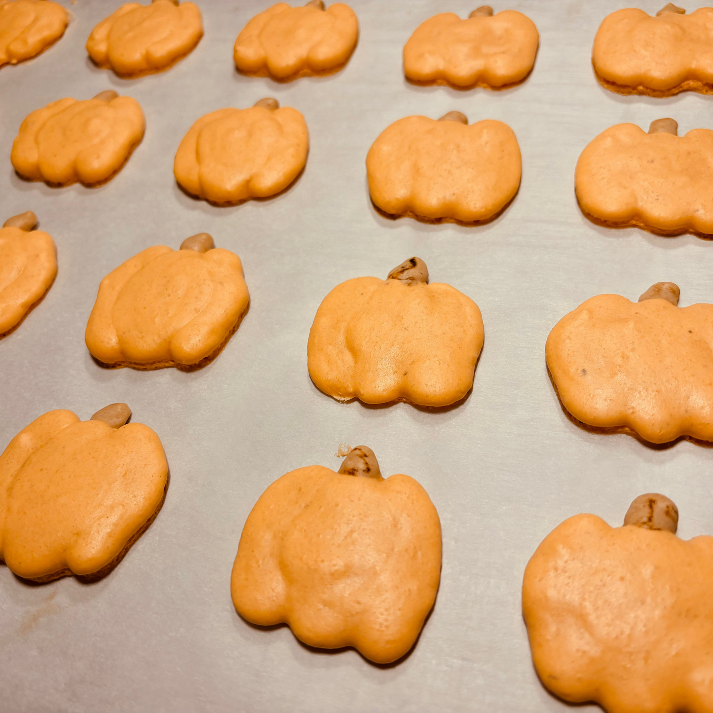 Seasonal Fall Macarons