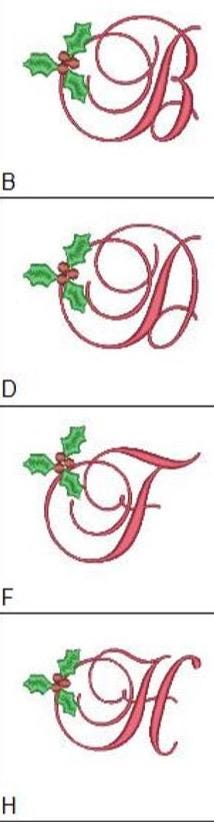 Monogrammed Holiday Tea Towels • Christmas Kitchen Gift • 100% Cotton, Holly Design